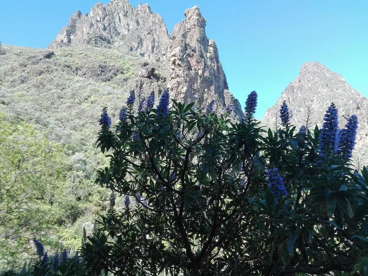 Chalet Rutas de Valsequillo