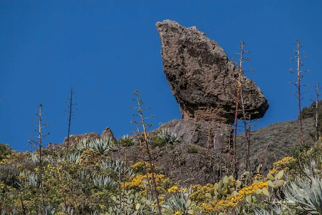 Chalet Rutas de Valsequillo  Valsequillo de Gran Canaria